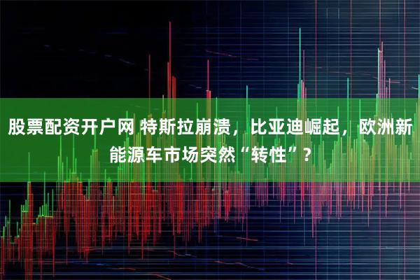 股票配资开户网 特斯拉崩溃，比亚迪崛起，欧洲新能源车市场突然“转性”？